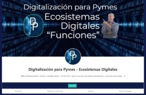 Función Perfil Profesional de Negocio Ecosistemas Digitales